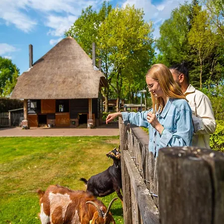 Comfortable Near Park De Veluwe *