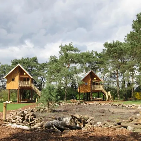 Comfortable Near Park De Veluwe Chalet